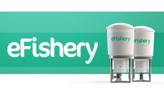 Ilustrasi startup eFishery. (Sumber: ciburial.desa..id)