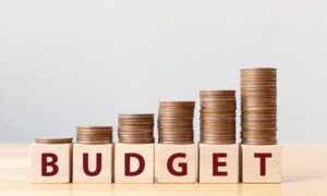 trik split budget