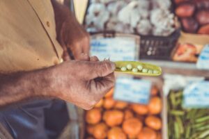 strategi belanja bahan makanan